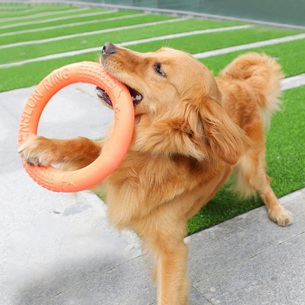 Indestructible Dog Chew Toy - 1PC cam Dog Đồ chơi Vật