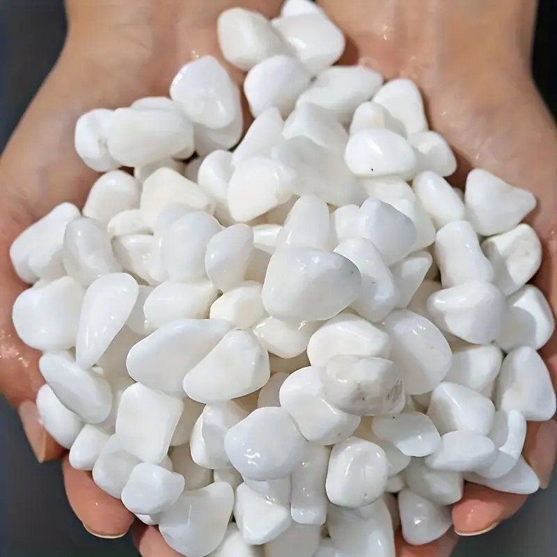 Pet Beds - 1L High-Quality Perlite Succulent Orchid Universal