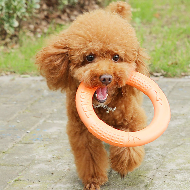 1PC cam Dog Đồ chơi Vật nuôi b - đánh giá và giá Indestructible Dog Chew Toy