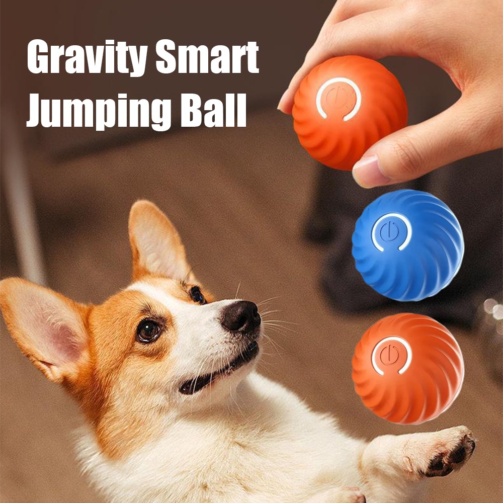 New 1pc Automatic Moving Dog T - đánh giá và giá Automatic Moving Dog Ball