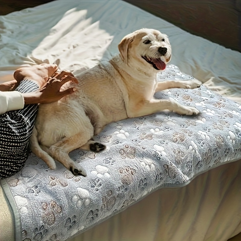 Comfortable Pet Towel Soft War - đánh giá và giá Pet Beds