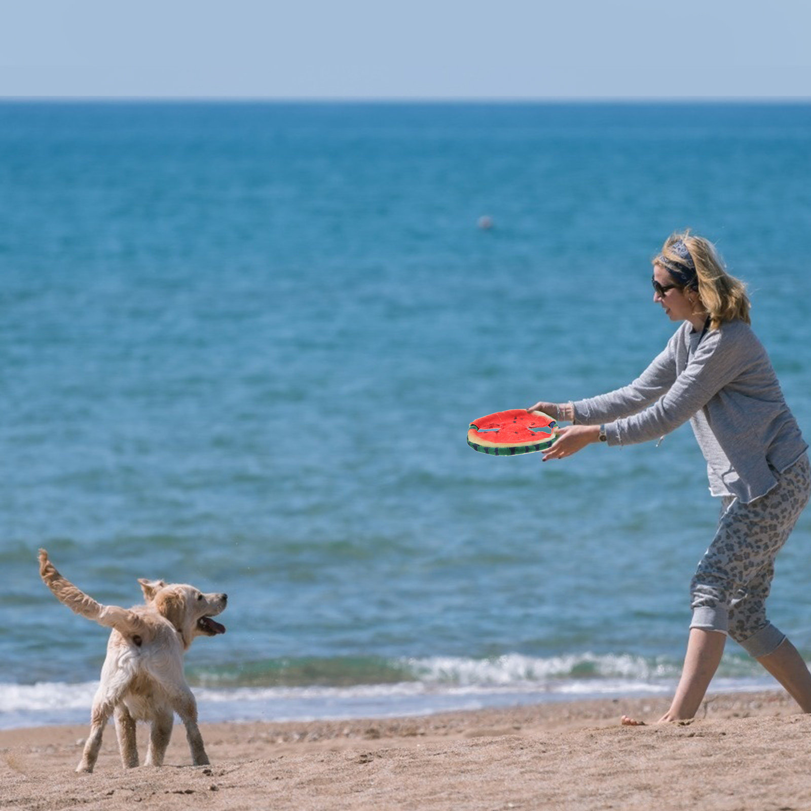 Dog Flying Disc Floating Water - đánh giá và giá Flying Disc Dog Training Toy