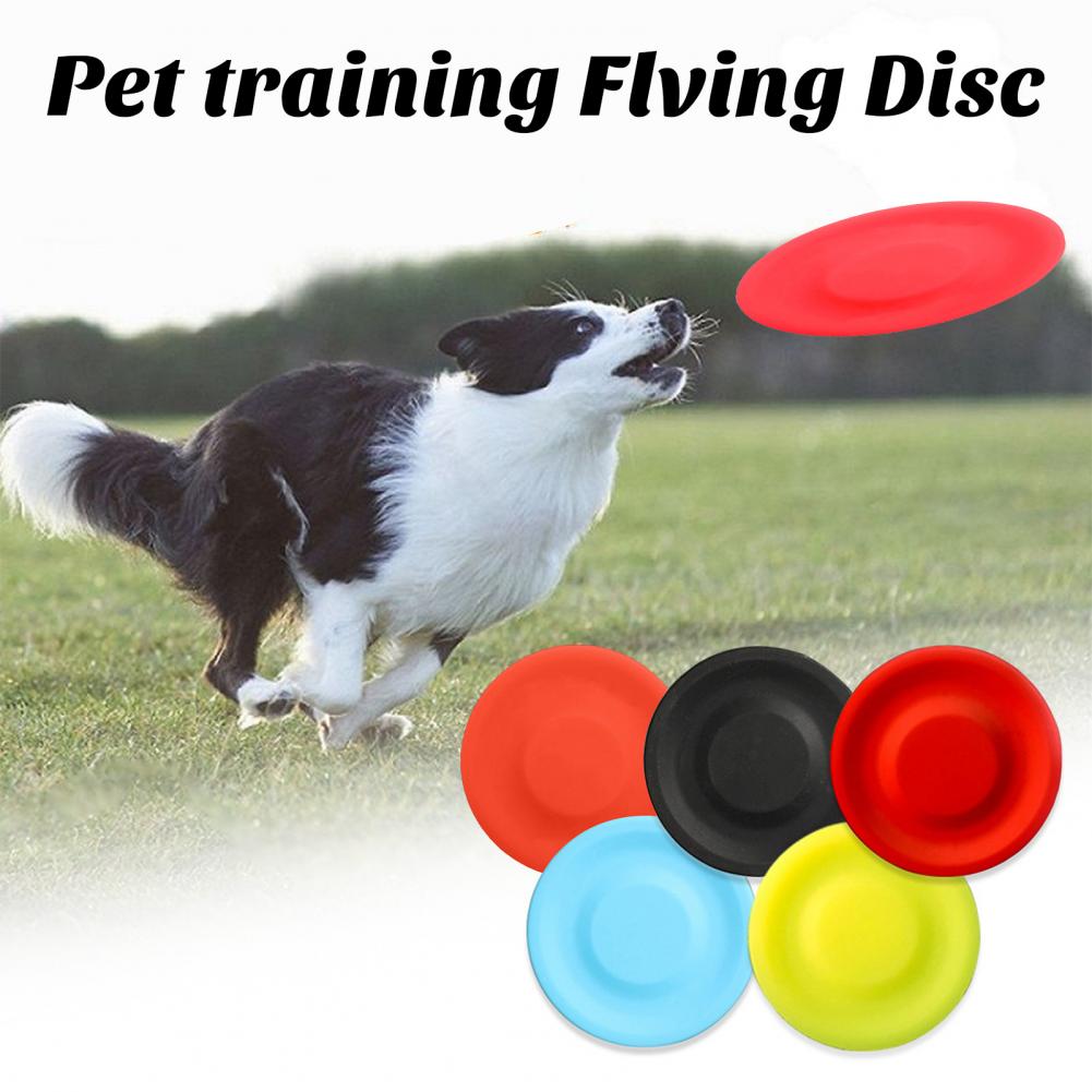 Pet Dog Flying Disk Toy，Silica - đánh giá và giá Flying Disc Dog Training Toy