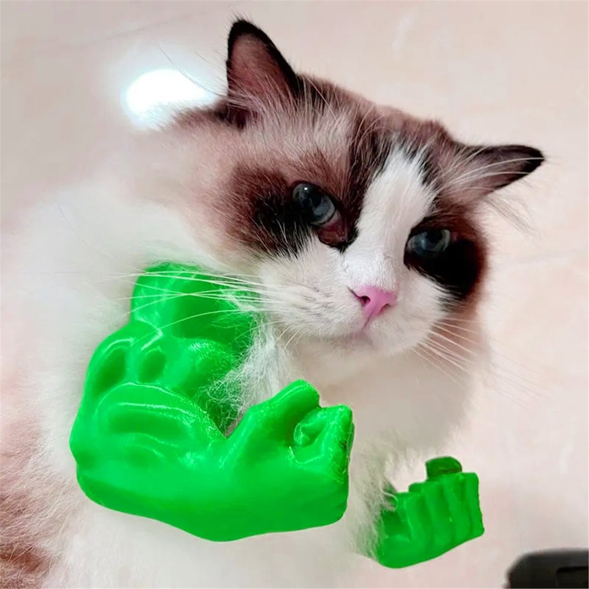 NEWCat Muscle Arm Pendant Pet  - đánh giá và giá Cat Toys