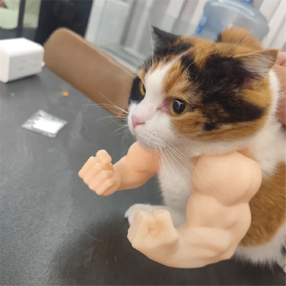 NEWCat Muscle Arm Pendant Pet  - đánh giá và giá Cat Toys