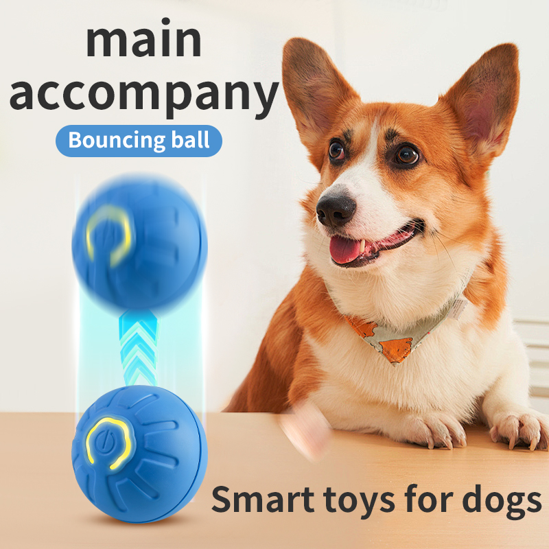 Automatic Moving Dog Toy Ball  - đánh giá và giá Automatic Moving Dog Ball